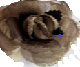 Flor de Tela color Humo